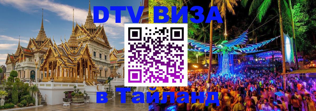 Оформление DTV визы под ключ: стоимость и тарифы, только загранпаспорт - 